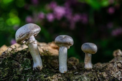 如何在Excel中輕松地在沒有關系的情況下對列表進行排名？