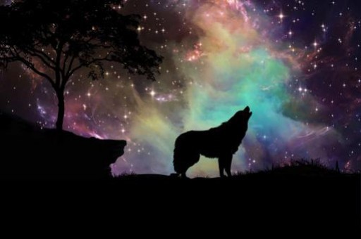 張小白帶你體驗MindSpore 1.1的新特性：單節點緩存Cache（1）CPU環境下的Cache體驗