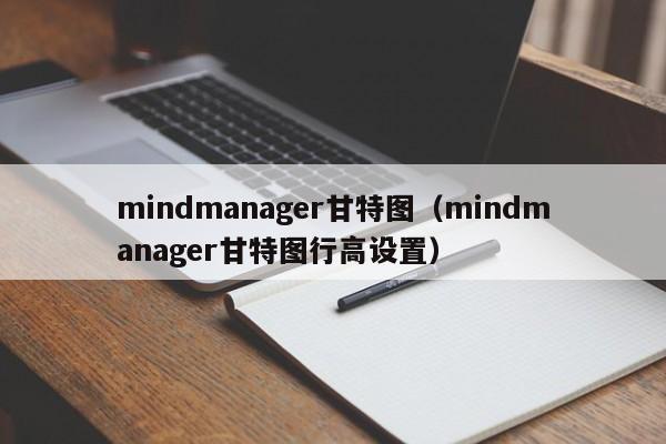 mindmanager<a target=