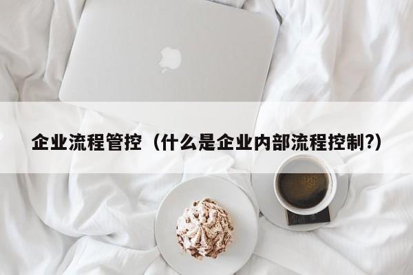 企業流程管控（什么是企業內部流程控制?）