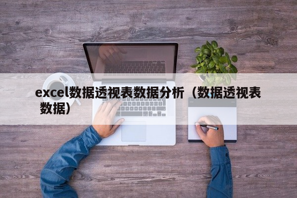 excel數據透視表數據分析（數據透視表 數據）