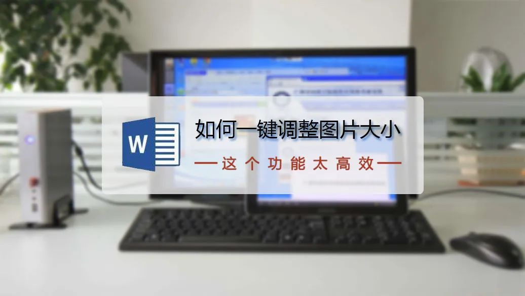 wps office的尺寸怎么設(shè)置？