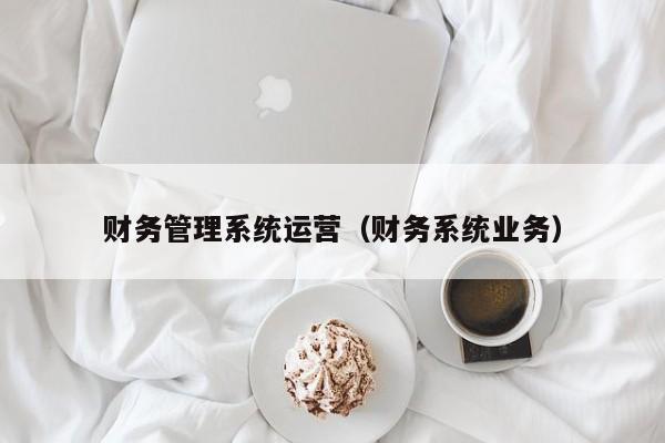 財務管理系統運營（財務系統業務）