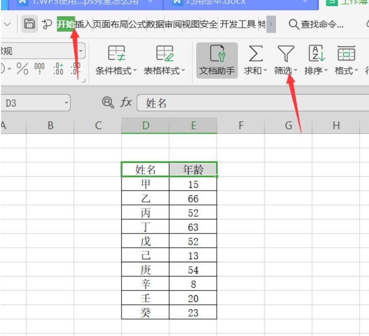 WPS 中如何使用篩選器進行篩選分類