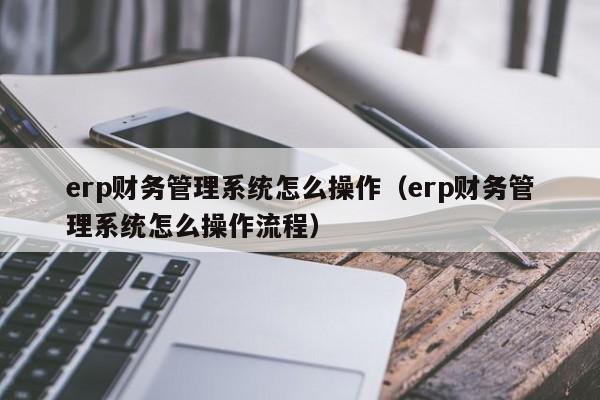 erp財務管理系統怎么操作（erp財務管理系統怎么操作流程）
